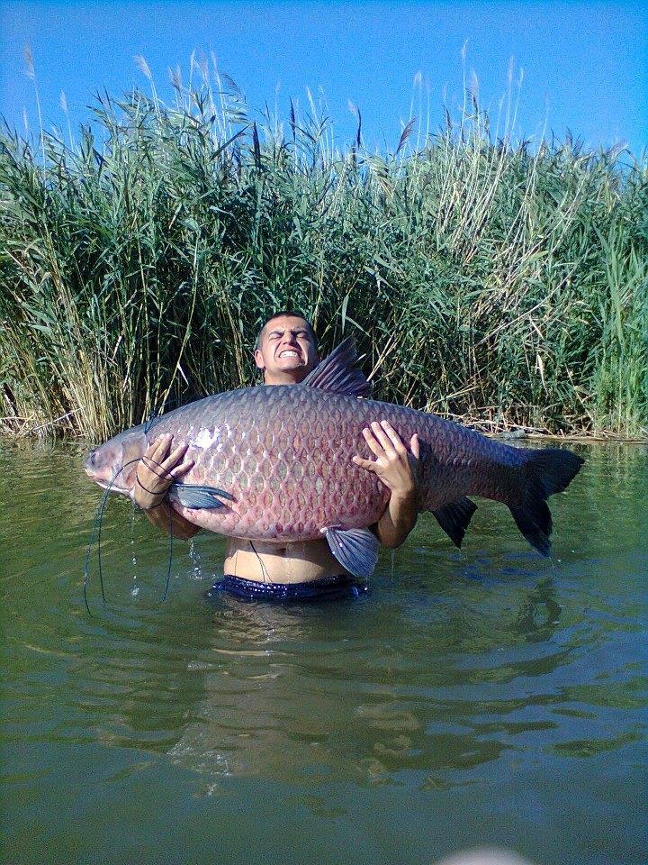 de prin lume  :) - monstru.jpg